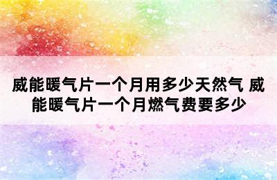 威能暖气片一个月用多少天然气 威能暖气片一个月燃气费要多少